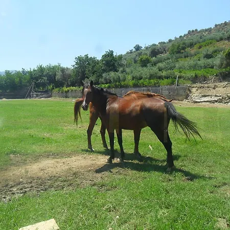 مزرعة للإقامة Antica Fattoria Malvitano *